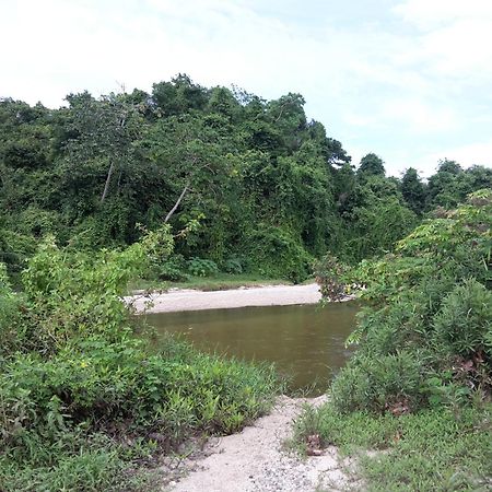 Cabana Wiwa Tayrona ลอสนารานฆอส ภายนอก รูปภาพ