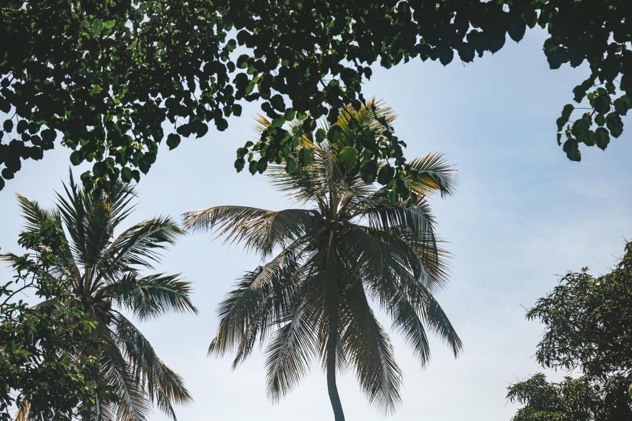 Cabana Wiwa Tayrona ลอสนารานฆอส ภายนอก รูปภาพ