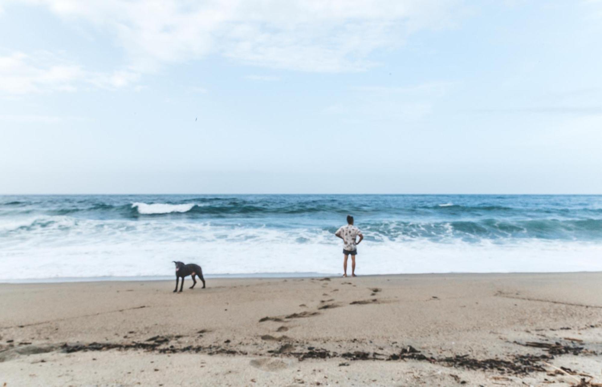 Cabana Wiwa Tayrona ลอสนารานฆอส ภายนอก รูปภาพ