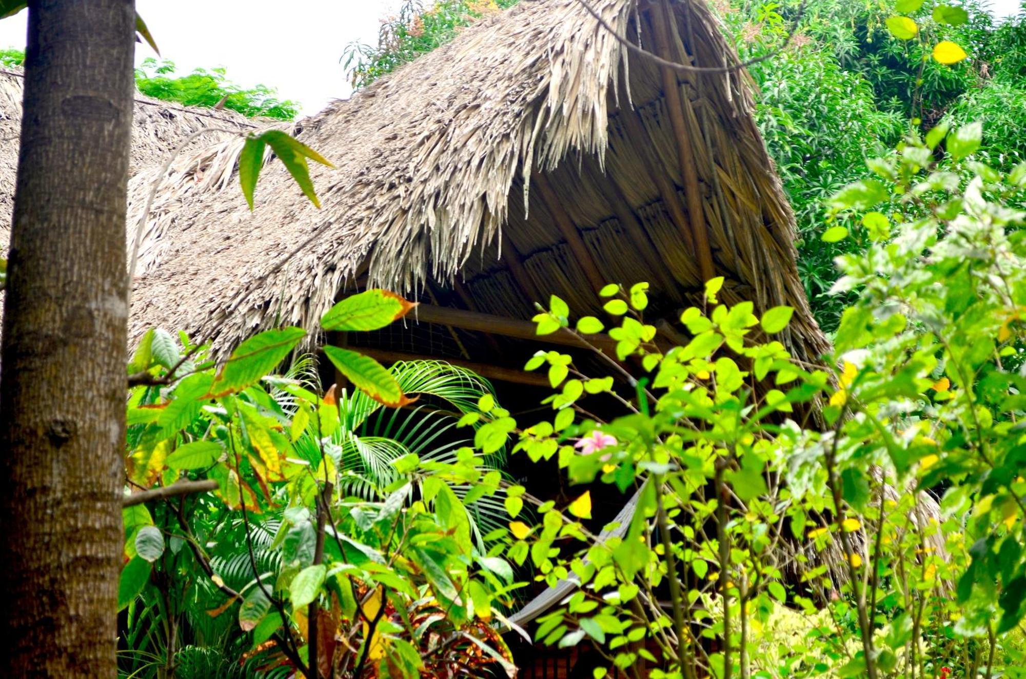 Cabana Wiwa Tayrona ลอสนารานฆอส ภายนอก รูปภาพ