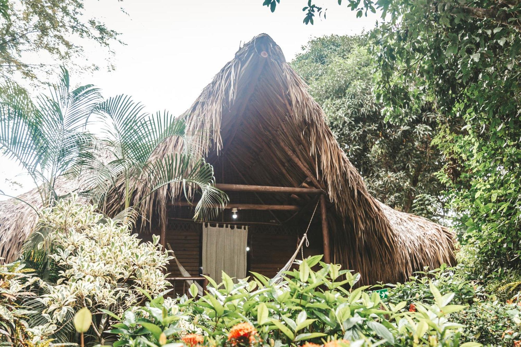 Cabana Wiwa Tayrona ลอสนารานฆอส ภายนอก รูปภาพ