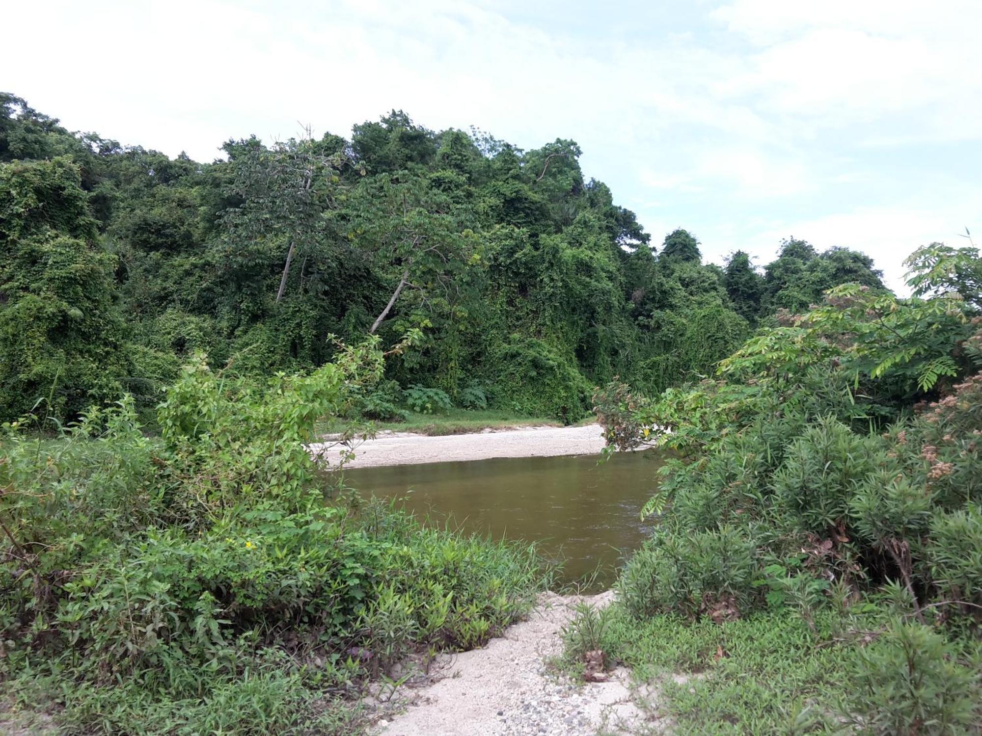 Cabana Wiwa Tayrona ลอสนารานฆอส ภายนอก รูปภาพ