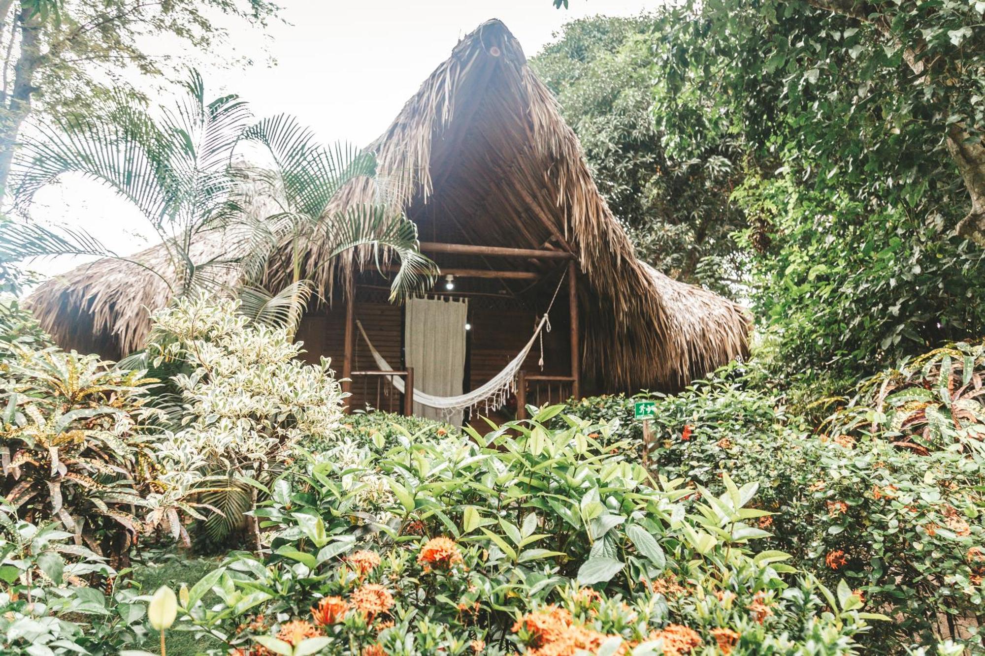 Cabana Wiwa Tayrona ลอสนารานฆอส ภายนอก รูปภาพ